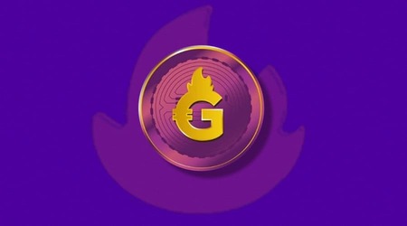 Le projet de Gari Coin