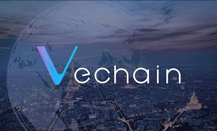 Qu'est-ce que VeChain Qu'est-ce que VeChain VeChain est un logiciel qui cherche à inciter un réseau d'ordinateurs à exploiter une plateforme permettant aux entreprises de créer et d'exécuter des applications décentralisées (dapps). VeChain vise ainsi à permettre une meilleure collaboration numérique entre les entreprises en leur donnant de nouveaux outils pour un transfert de données et une gestion de la chaîne d'approvisionnement efficaces.